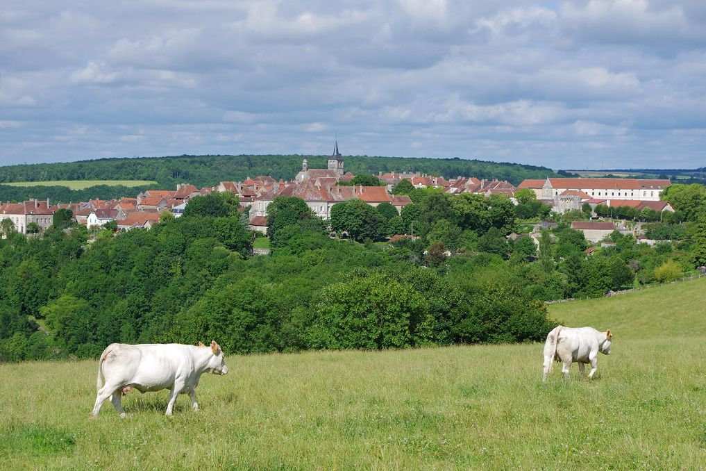 Flavigny-sur-Ozerain